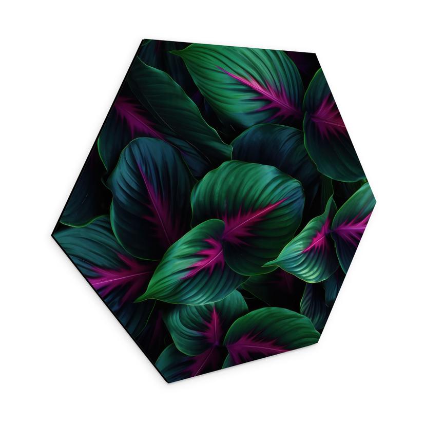 Hexagon Dibond Farverige jungleplanter - Paksoylu