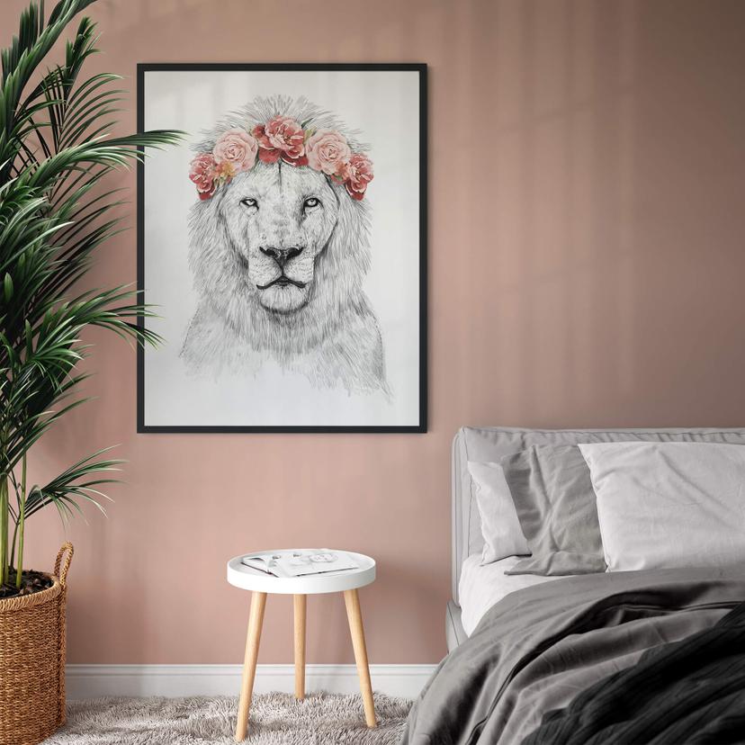 Poster Solti - Festival Lion