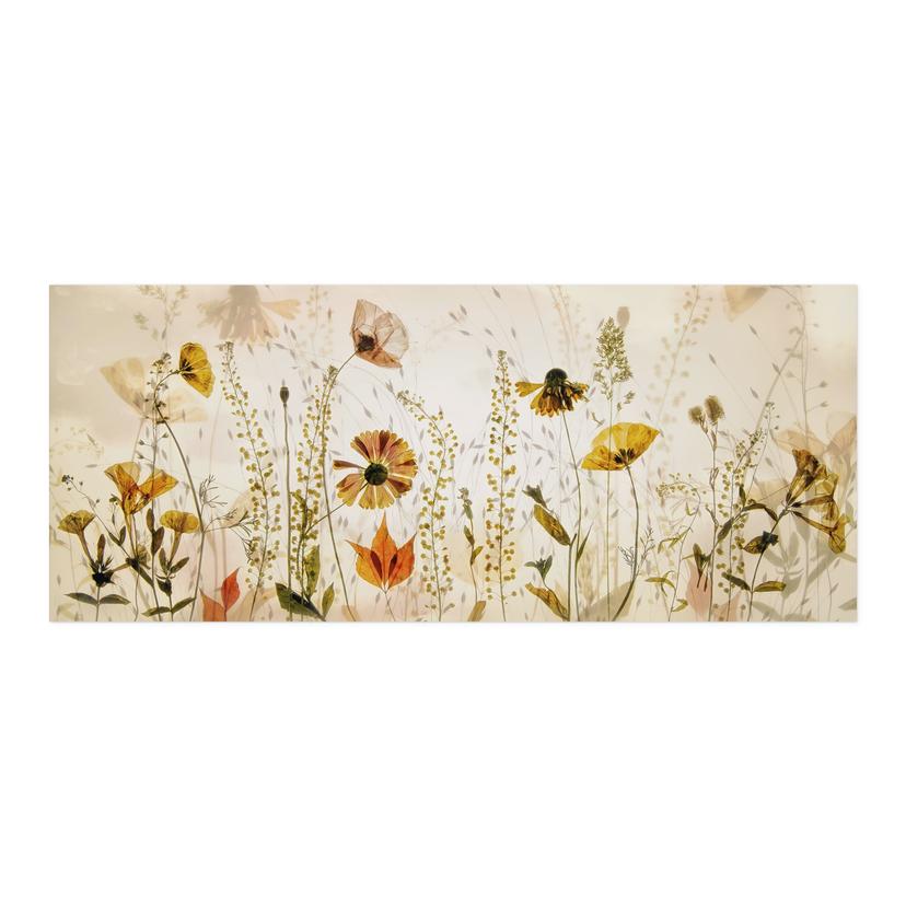 Alzatina da cucina autoadesiva Fiori di campo alla luce del sole - Talen