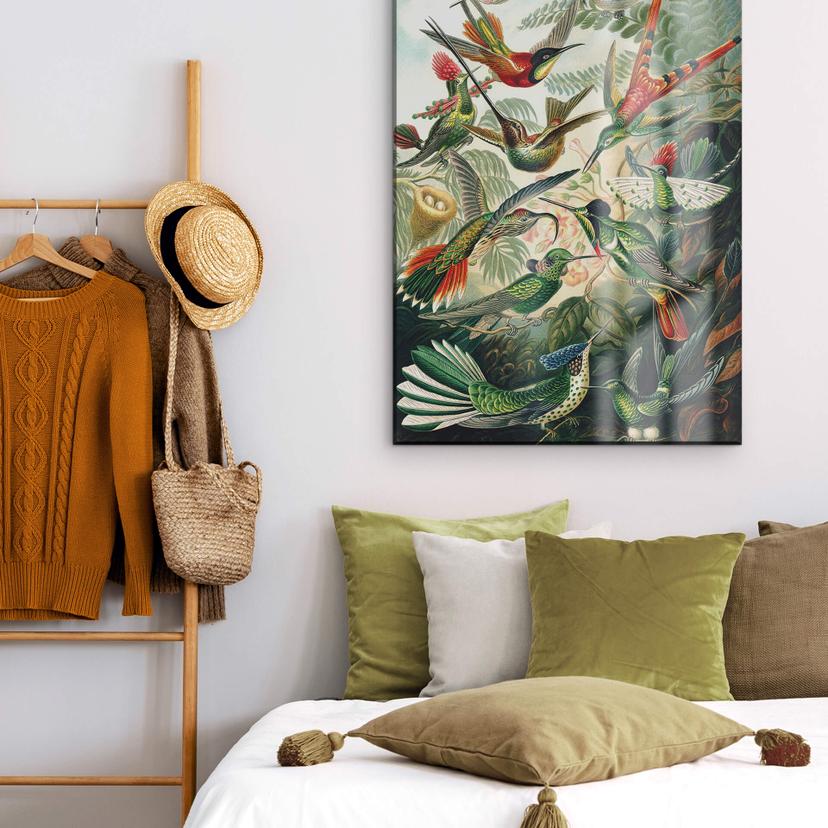Acrylglasbild Haeckel - Kolibris