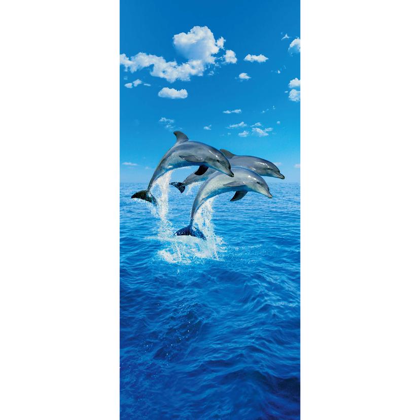 Deurfolie Three Dolphins - 86x200 cm