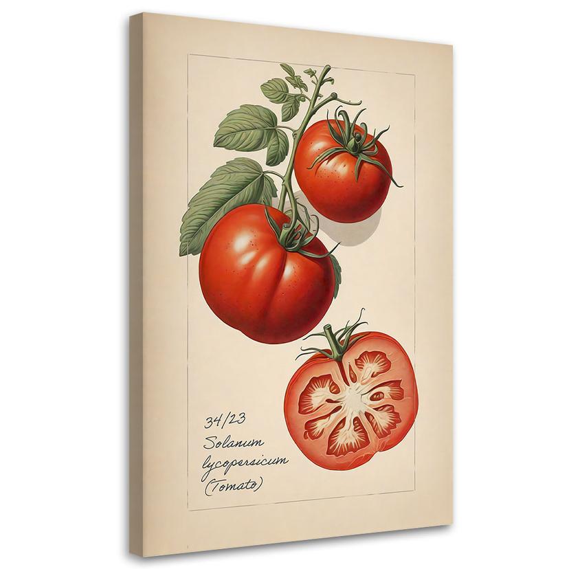 Leinwandbild Obst Weinlese Tomate