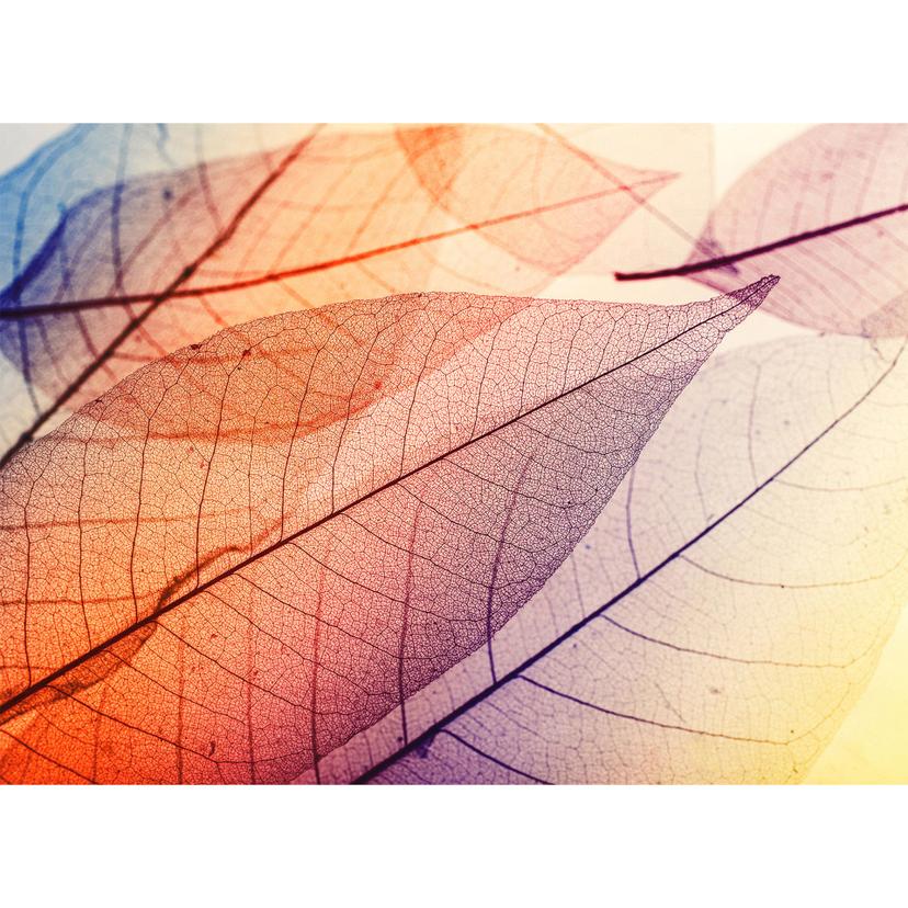 Livingwalls Fotomurale Designwalls -  Limpid Leaf