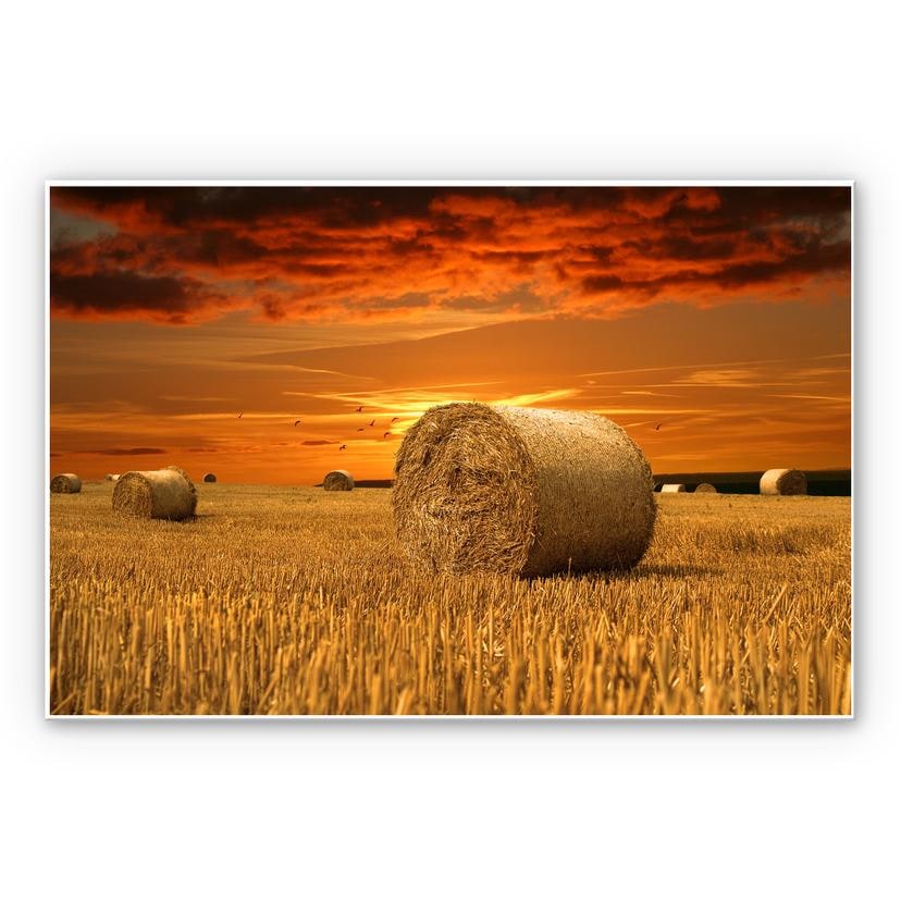 Tableau Forex - Balles de paille