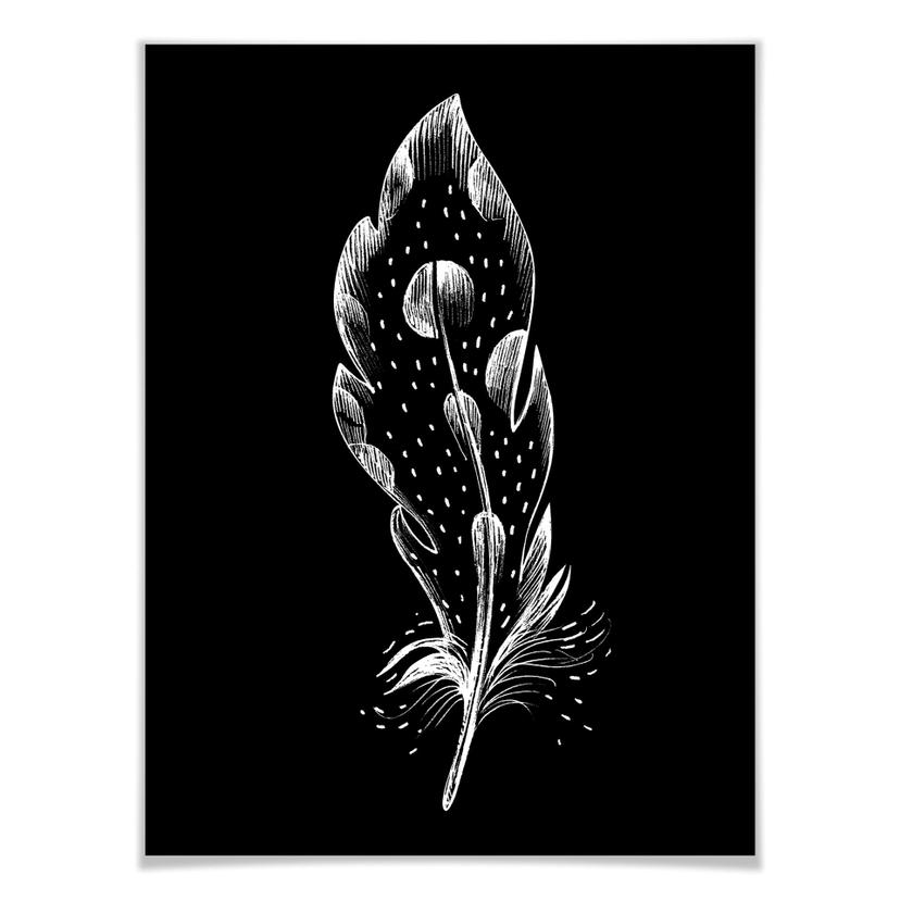 Poster - Kvilis - Piuma 01