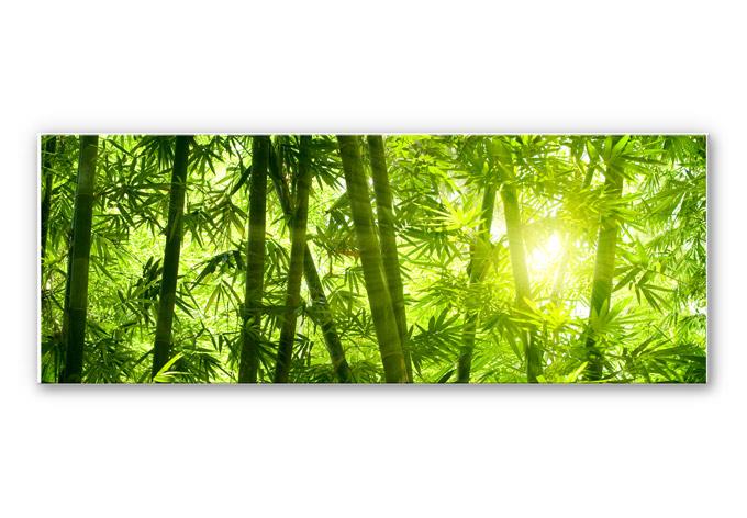 Tableau Forex - Rayon de soleil dans la forêt de bambous - Panorama
