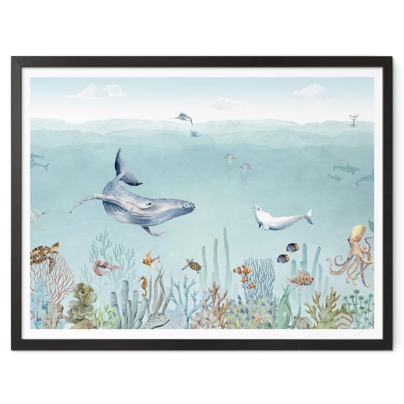Póster Kikki Belle - Vida marina