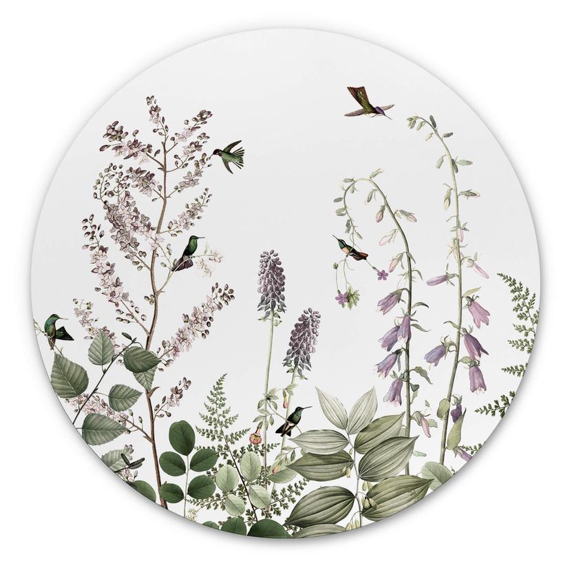 Tableau sur alu-Dibond rond Sir Edward - Colibris dans le jardin