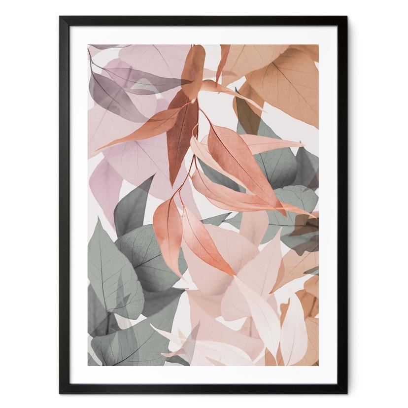 Póster Hojas de eucalipto de colores - Sisi & Seb