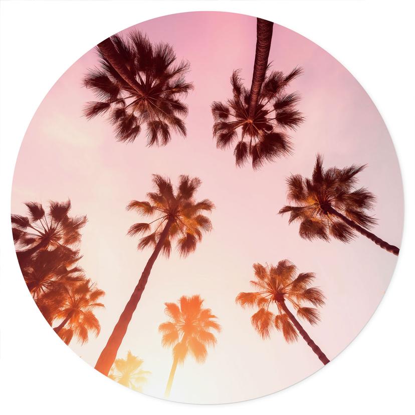 Adesivo murale California Dreaming con vista sulle palme - Hugonnard - Rotondo