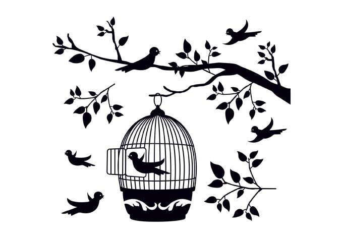 Effet verre dépoli : Branche avec une cage à oiseaux