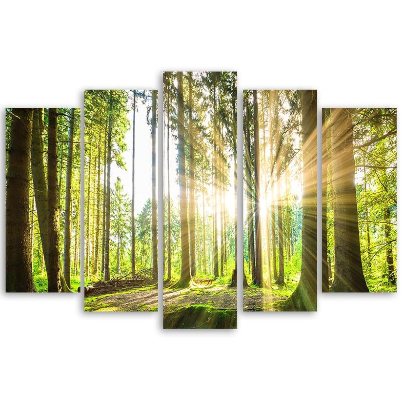 Stampa su tela 5 pezzi, alberi della foresta natura