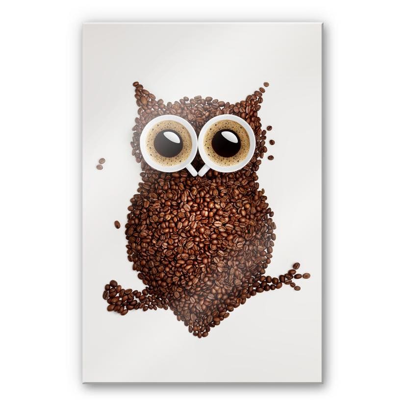 Tableau en verre acrylique - Hibou café