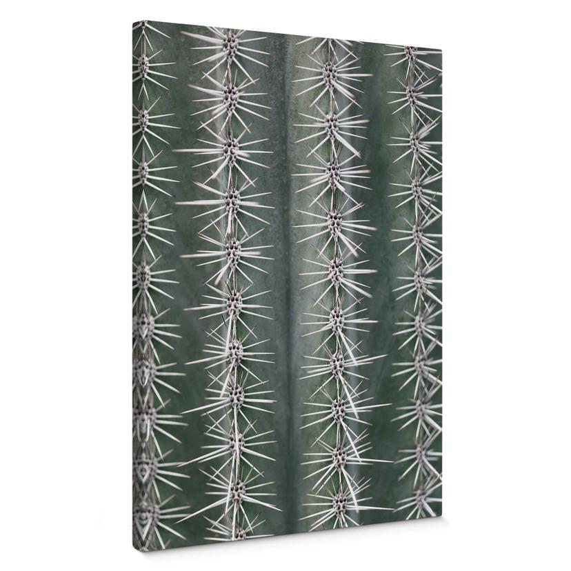 Lienzo 1X Estudio - Cactus