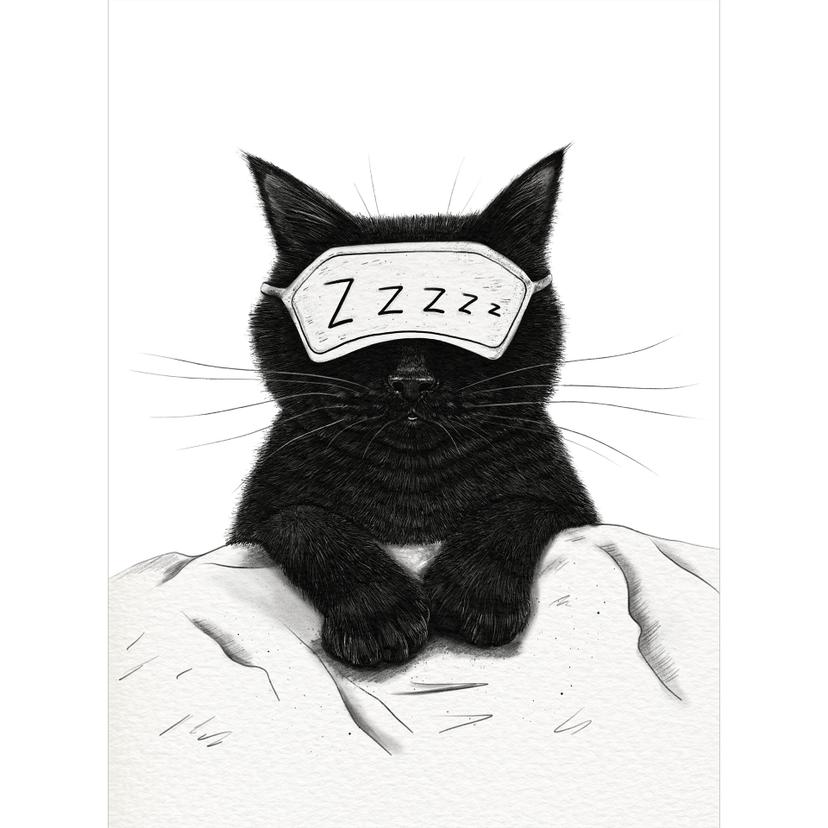 Fototapete Schwarze Katze mit Schlafmaske - Korenkova