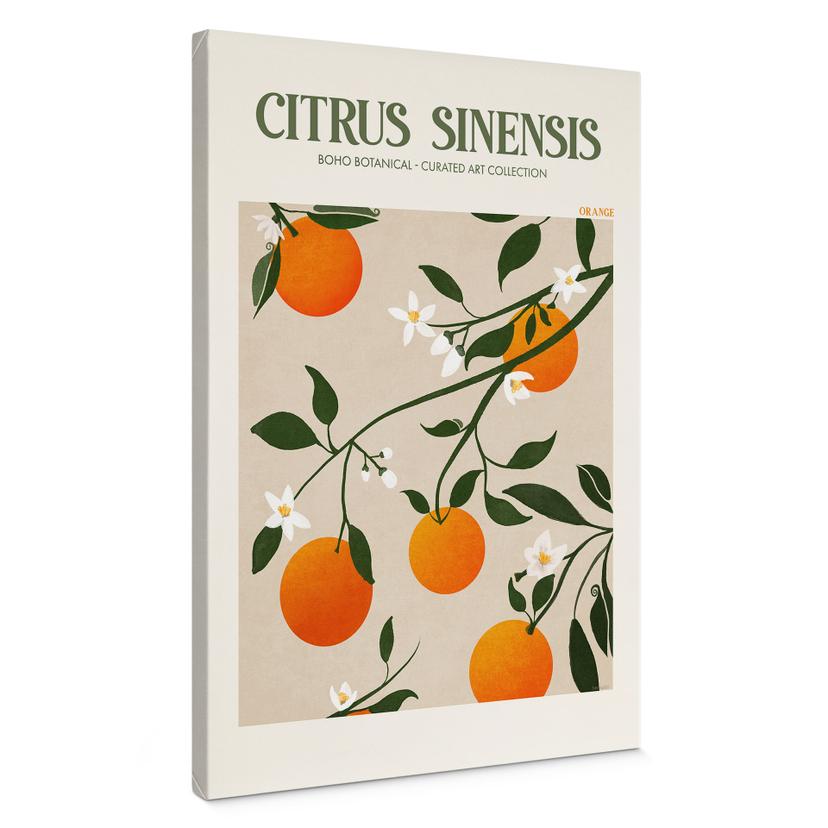 Lærredsprint - Boho-appelsintræ - Citrus Sinensis - Tunaboylu