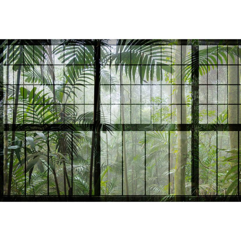 Livingwalls Fotomurale Walls by Patel 2 rainforest 1