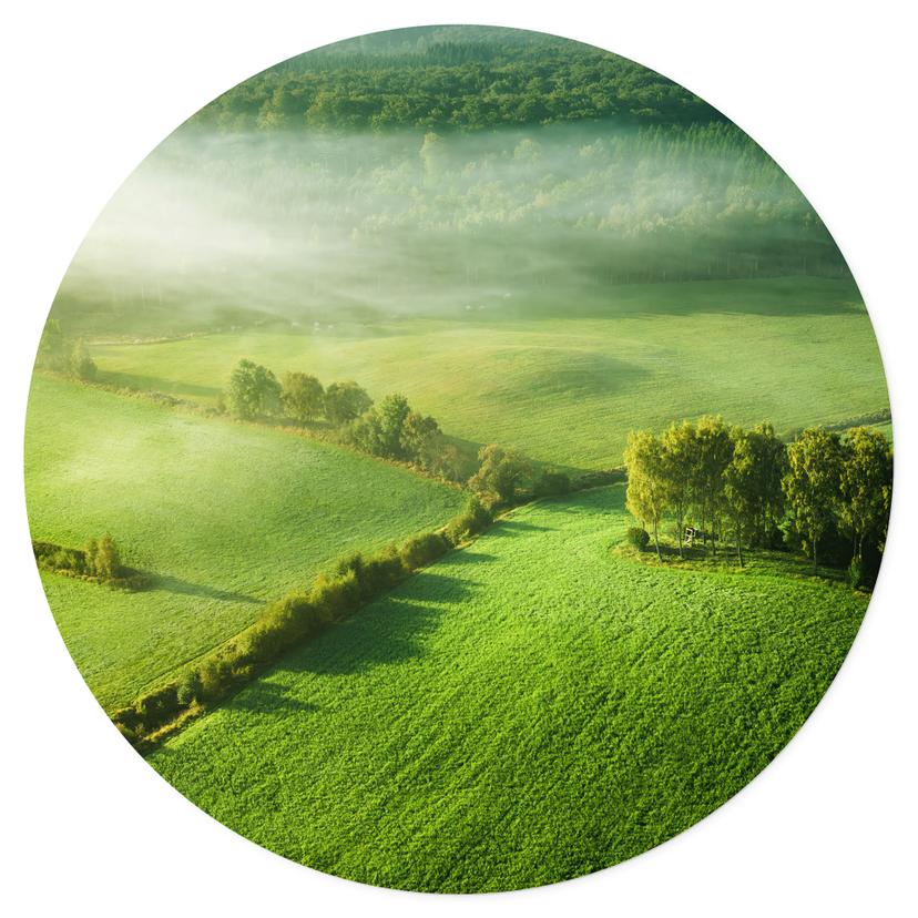 Muursticker Idyllische velden in de mist - Kelder - Rond