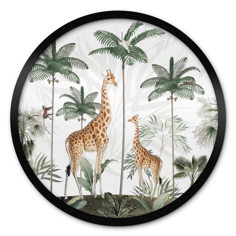 Plakat Kikki Belle - Giraffes