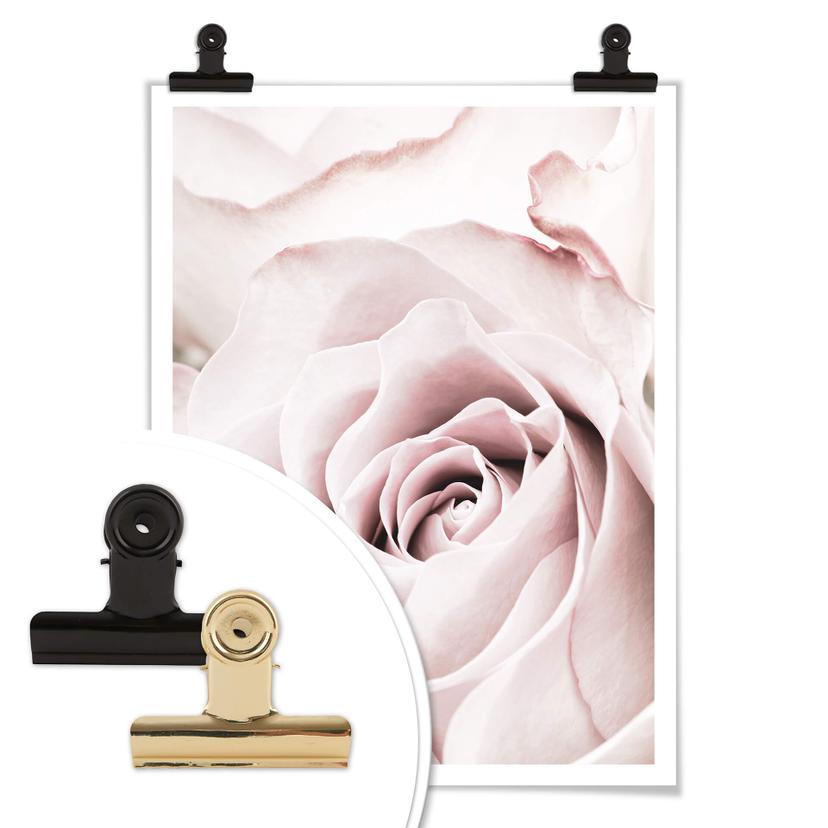 Póster 1X Studio - Rosa noble