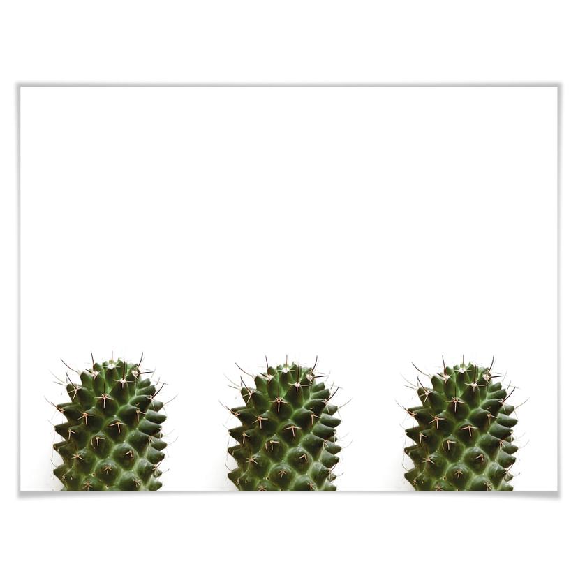 Poster – I miei piccoli cactus