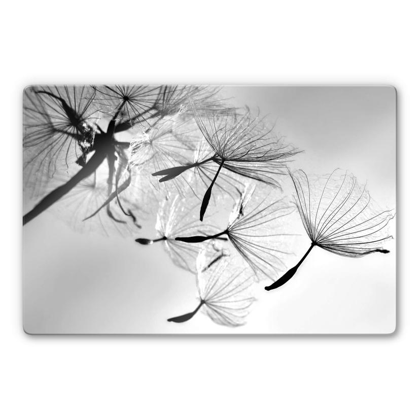 Tableau en verre Delgado - Pissenlits en liberté