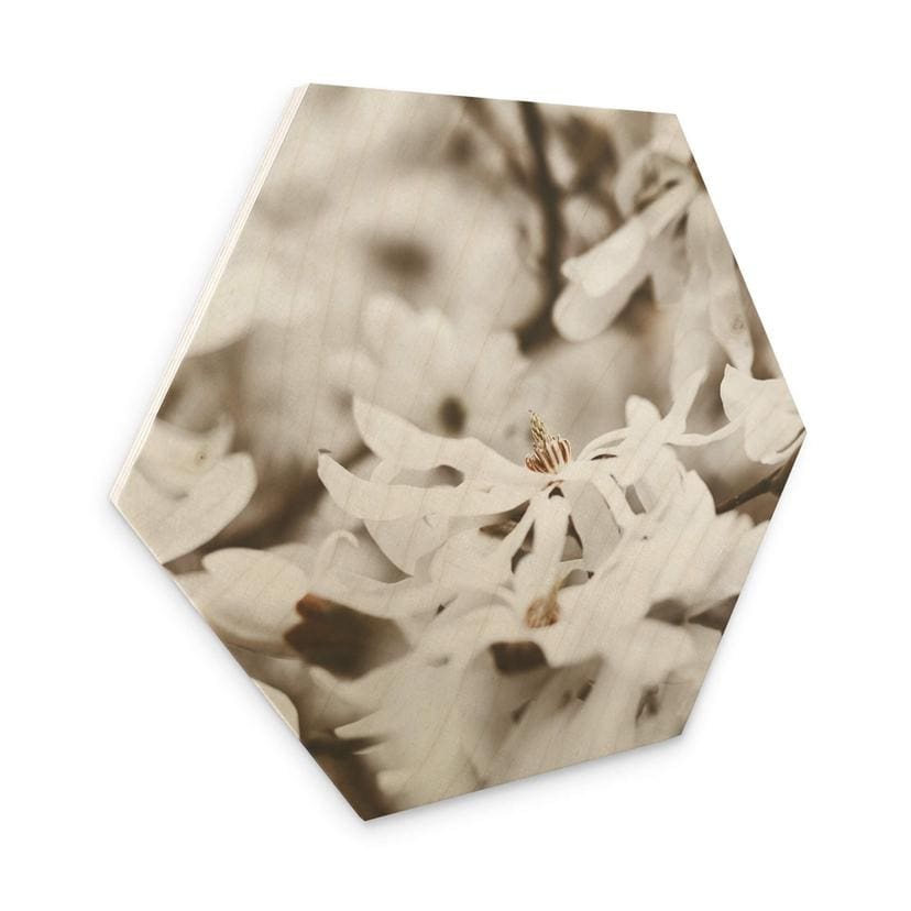Hexagone - Bois Annie - Jasmin