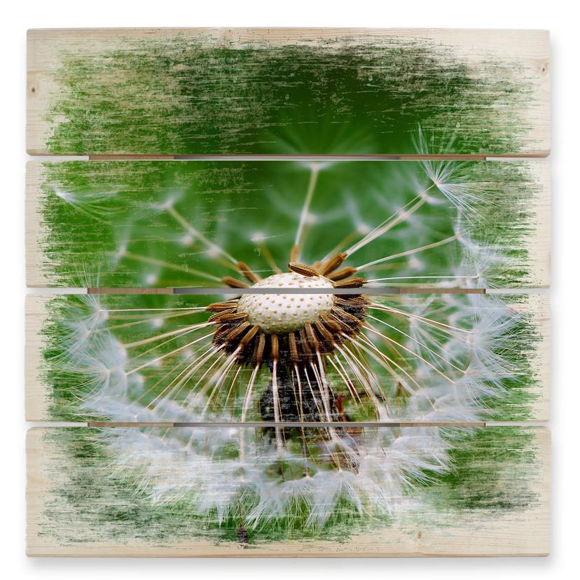 Cuadro de madera diente de león al viento - 40x41,5 cm