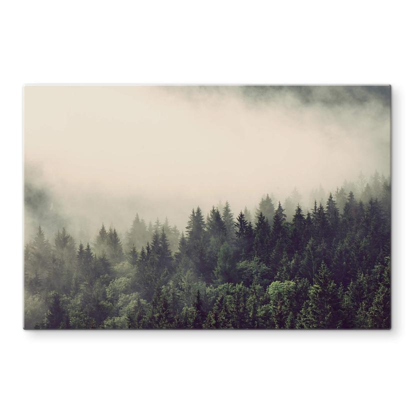Pannello paraschizzi - Foresta 02