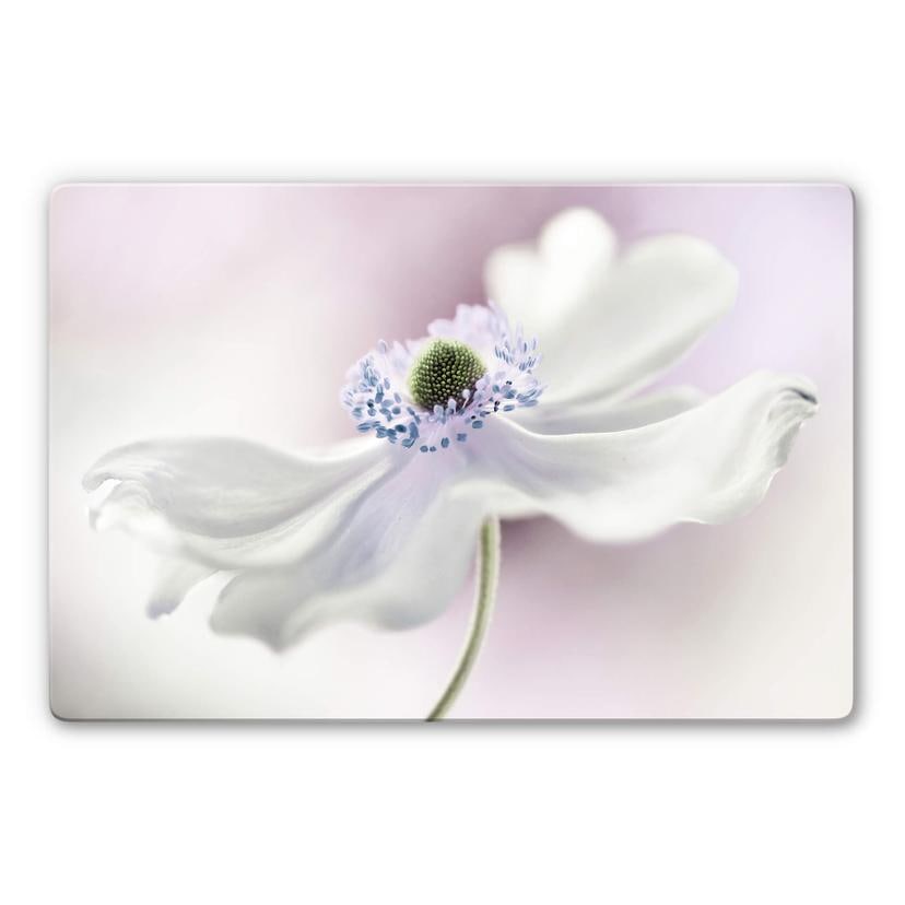 Glasschilderij Disher - Anemone Breeze