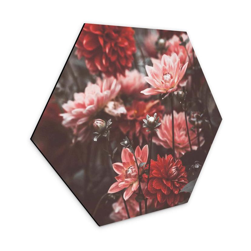 Hexagone - Alu-Dibond Annie - Fleurs d'été
