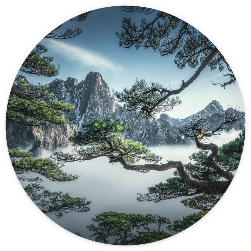 Fototapet tallskog i Huang Shan-bergen - NingYun Ye - Runda - non-woven tapet/självhäftande non-wove