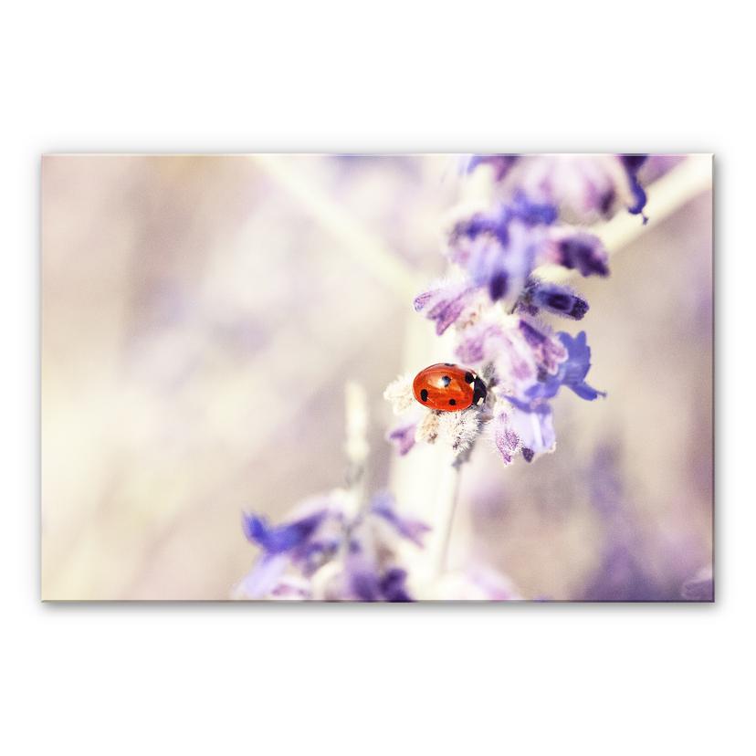 Tableau en verre acrylique Little Friend
