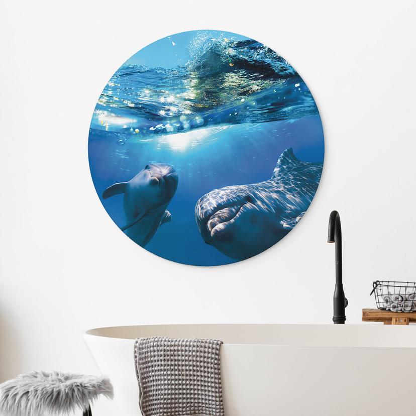 Wanddecoratie Dolfijnen onder water - Alu-Dibond Rond