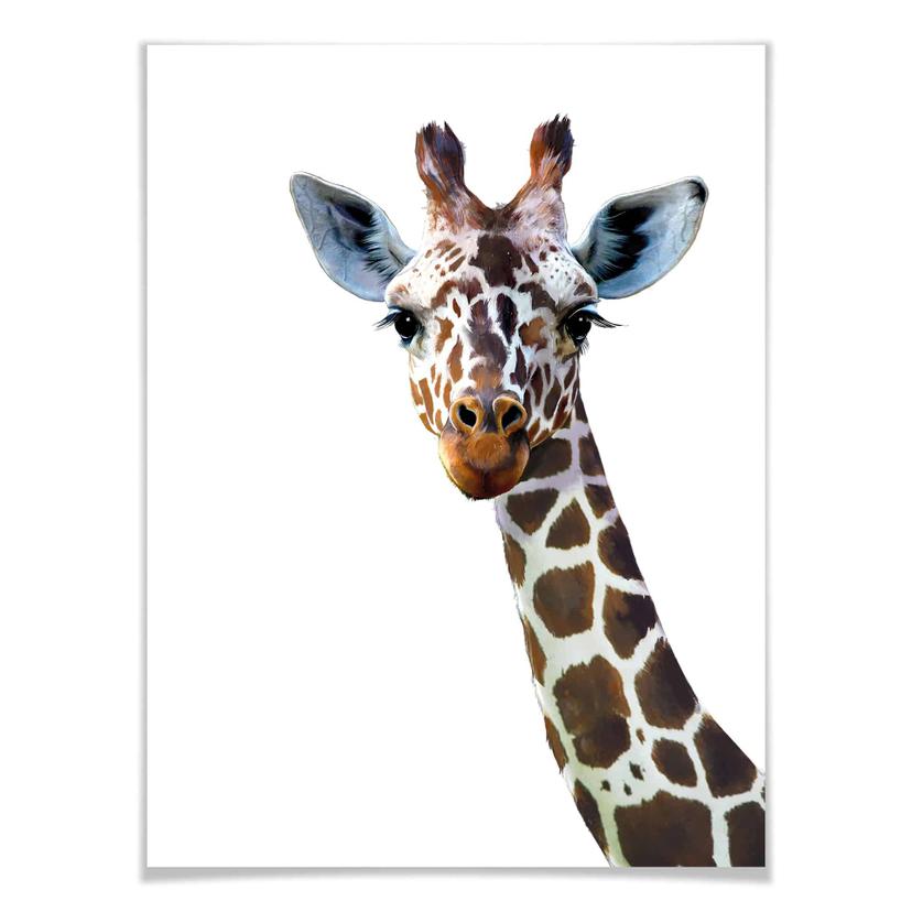 Poster Graves - Giraffa