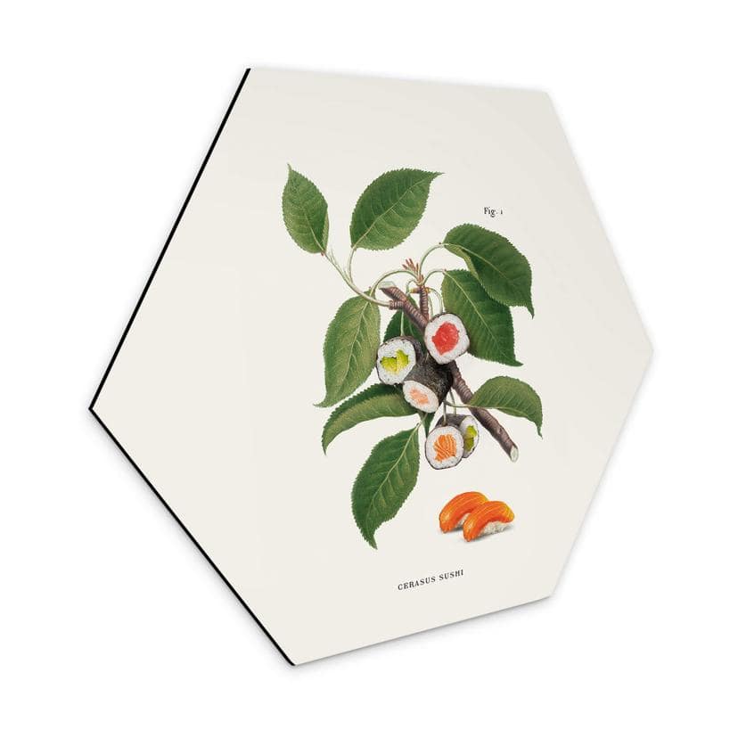 Hexagone - alu-Dibond Loose - Plante à sushis