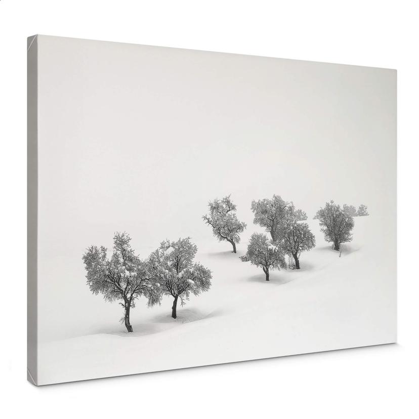 Lienzo Carrillo Lopez - Paisaje blanco con arboles