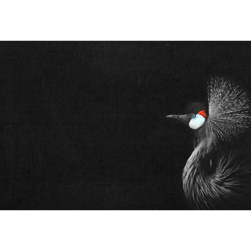 Livingwalls Fotobehang ARTist Crowned Crane