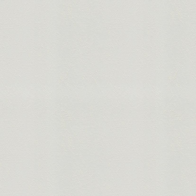 Papier peint intissé couvrant A.S. Création Meistervlies Pro Protect 2 blanc