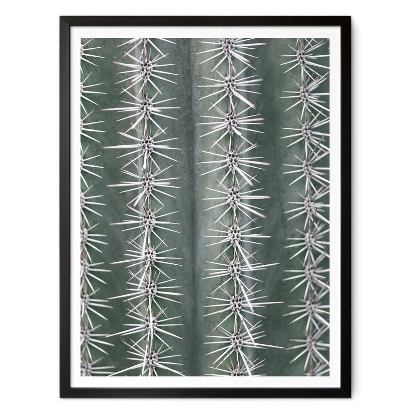 Poster 1X Studio - Cactus