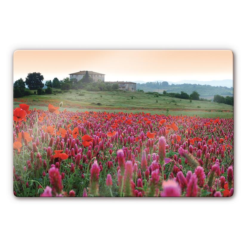 Stampa su vetro - Prato fiorito in Toscana