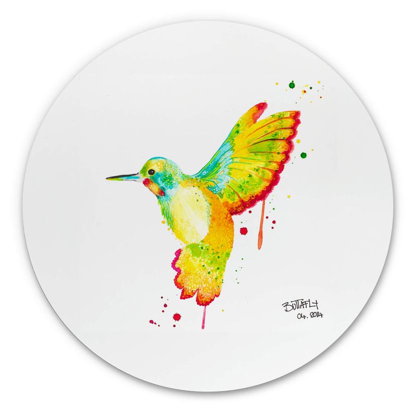 Wandcirkel Buttafly - Hummingbird