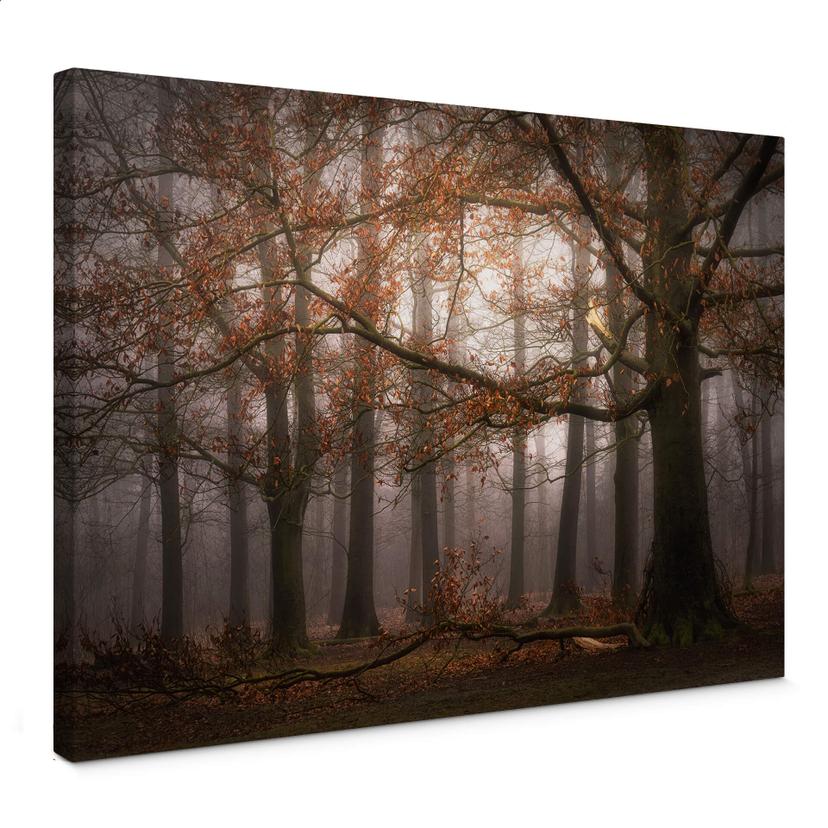 Canvasbillede - Dingemans - Tåge i skoven