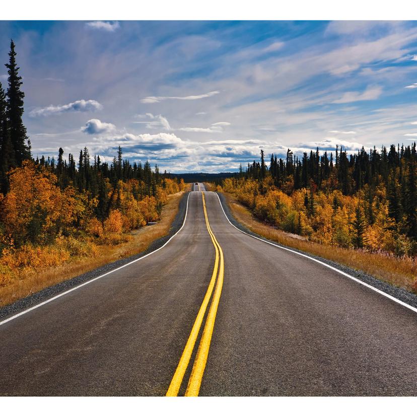 Fotomurale Road Trip - 288x260 cm