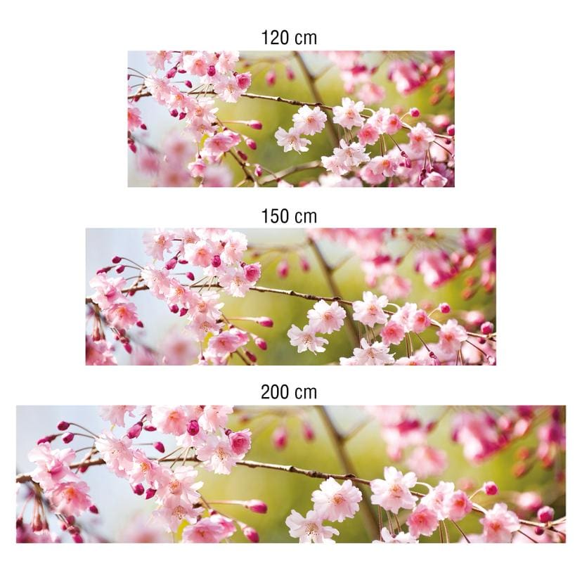 Revêtement pour cuisine - Alu-Dibond - Fleurs de cerisier