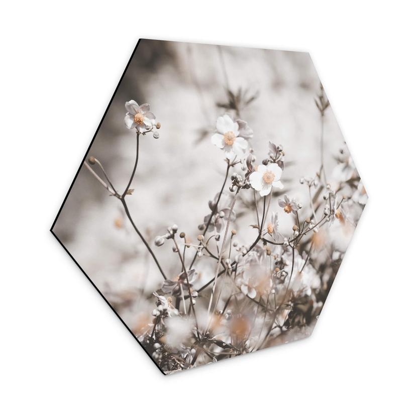 Hexagone - Alu-Dibond Annie - Fleurs sauvages