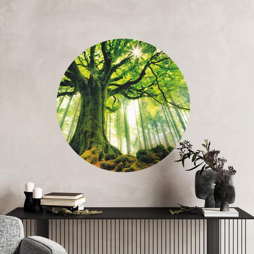 Wallsticker Kiciak - Eventyrlig skov - Rund