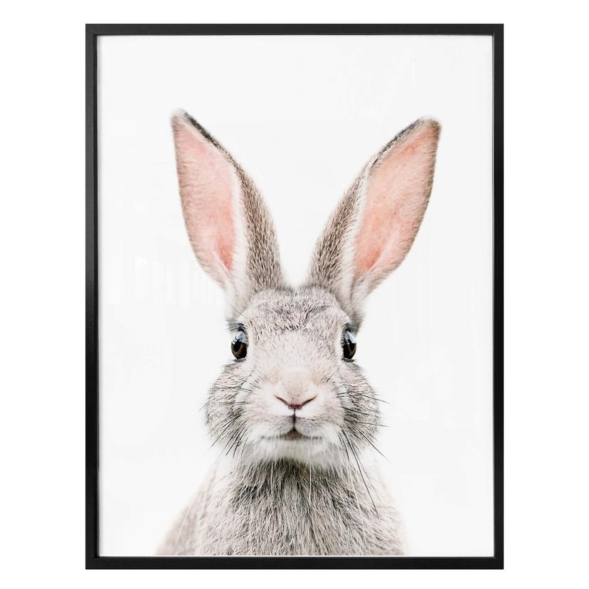 Póster Sisi & Seb - Orejas de conejo