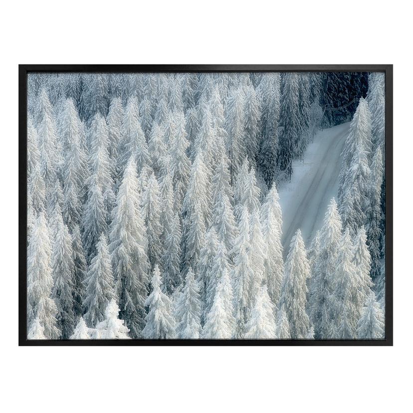Plakat - Kalliolahti - Hvid vinter