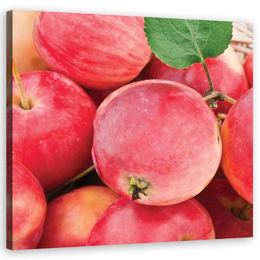 Canvasbillede, Makro - æblefrugt